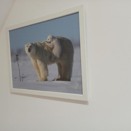 A 4 Min Du Zoo De Beauval La Maison A Partager Ch4 2Eme Etage Сент-Эньян Экстерьер фото