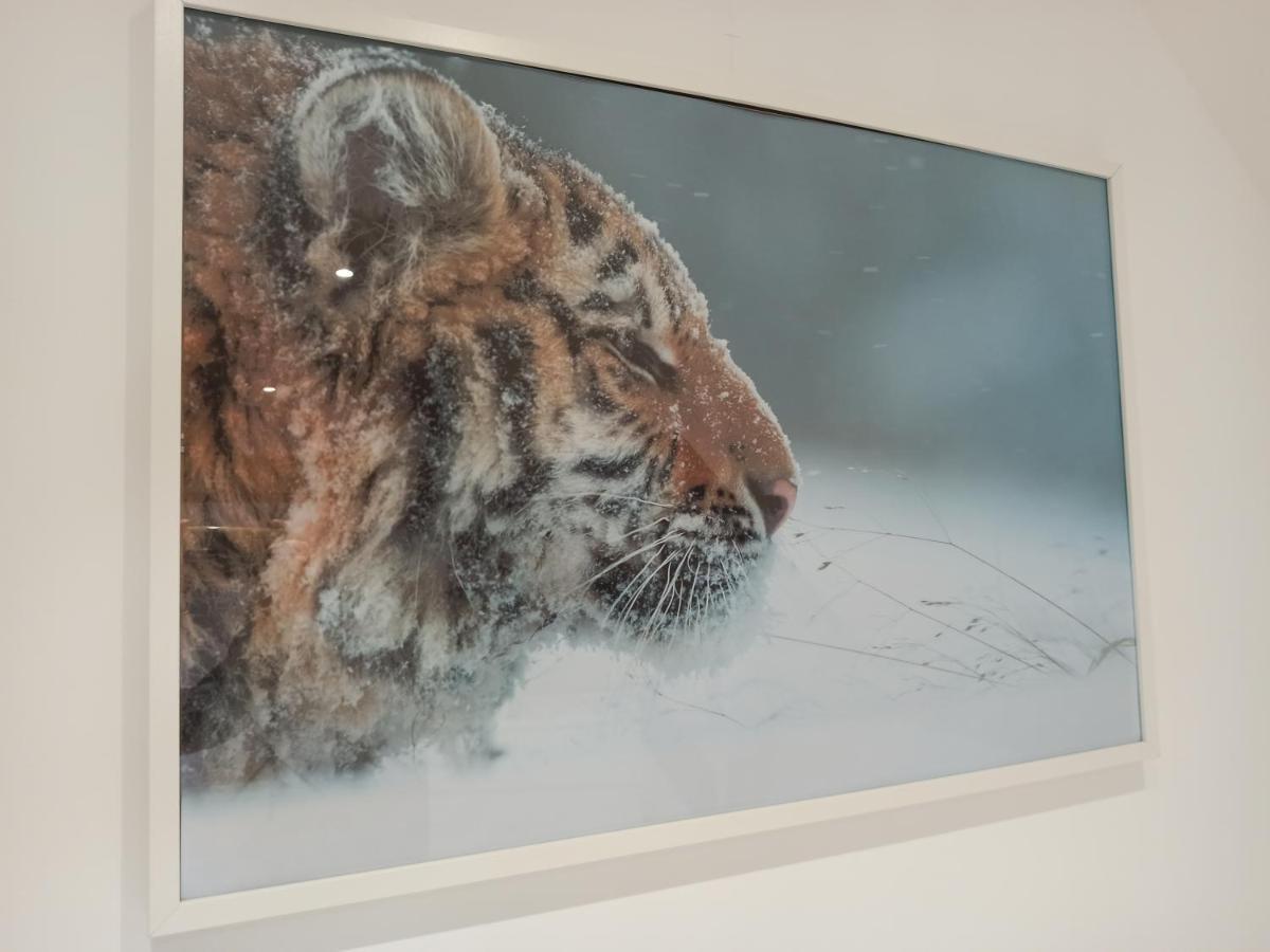 A 4 Min Du Zoo De Beauval La Maison A Partager Ch4 2Eme Etage Сент-Эньян Экстерьер фото