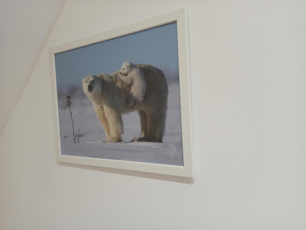 A 4 Min Du Zoo De Beauval La Maison A Partager Ch4 2Eme Etage Сент-Эньян Экстерьер фото